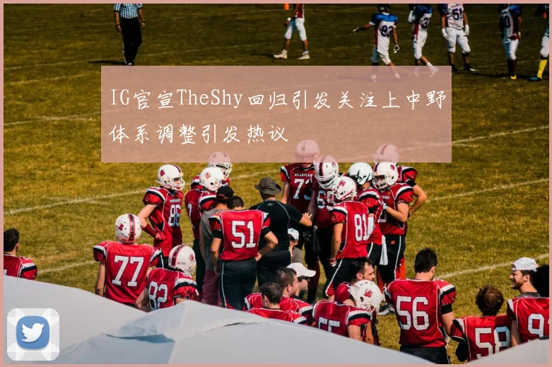 IG官宣TheShy回归引发关注上中野体系调整引发热议