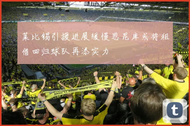 莱比锡引援进展缓慢恩昆库或将租借回归球队再添实力